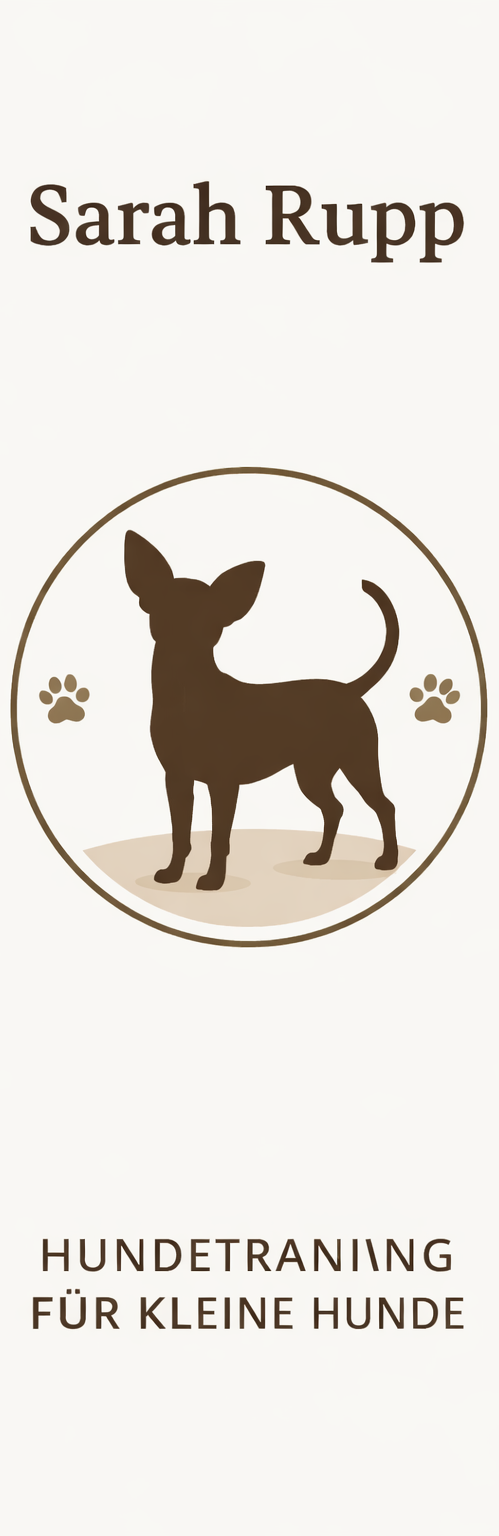 Little Legends Vertikales Logo